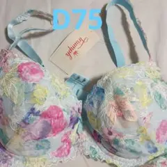 トリンプ　D75
