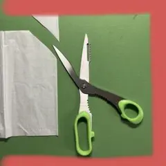 Item thumbnail for item 6c1f2205-251b-420a-baa8-02a83dd19218