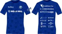 【サイズL 着用１度】町田ゼルビア 青城祭2024 ユニフォーム