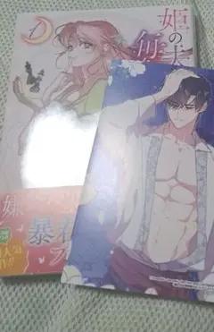 姫の夫は毎晩変わる1巻　アニメイト特典つき