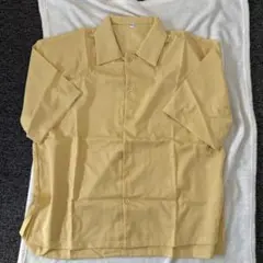 Item thumbnail for item 9bcf6cc2-2a3b-44be-832b-dcefb4eca185