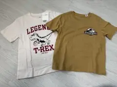 【新品未使用】H&M 恐竜Tシャツ2枚　サイズ100