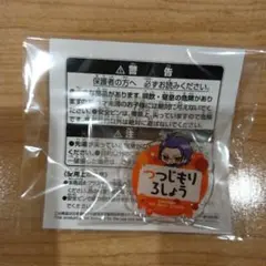 ヒプノシスマイクちびぐるみポーズ! おなまえアクリルバッジvol.2 躑躅森盧笙