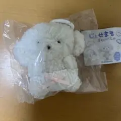 じょせまる　おぱんつ　ガチャ