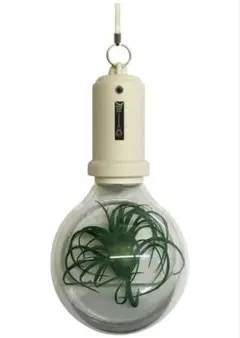pocket light bulb　インテリアライトフェイクグリーン付　ホワイト