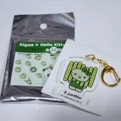 万博　キティ　キーホルダー　　日本館　シークレット　アクリル　イカダケイソウ