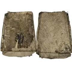 Item thumbnail for item ea3f93ed-4674-4b1e-ad2d-c02159ba7cea