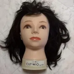 Item thumbnail for item 90101f07-6c15-49b1-a7bd-1f214f018c6a