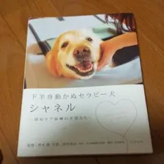 下半身動かぬセラピー犬、シャネル