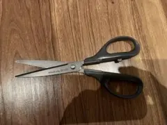 Item thumbnail for item 534261a8-34c4-40ba-be6c-ea6c1828e264