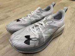 Item thumbnail for item 0c6de403-d364-4e00-8884-8c5008350ca5