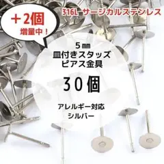 Item thumbnail for item d60b9a35-db13-4f42-9c8a-3a42aebce605