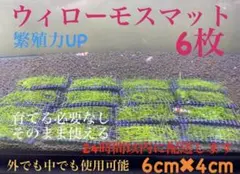 ウィローモスマット6枚セット