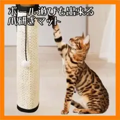 Item thumbnail for item 3394e910-427b-4fc7-bc5f-68659fb858cb