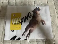 芝犬まる　TシャツSサイズ　新品