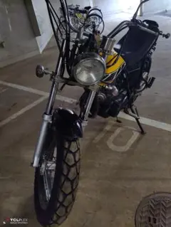 tw200秋と言えばツーリング( ´∀`)