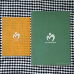 Item thumbnail for item 511d713e-8cd4-447a-abb1-af6aae6bf5ac