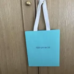 Item thumbnail for item d60a51b8-74a4-499a-973e-4cc009f3a423