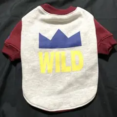 Item thumbnail for item bd955abd-e839-4f91-973b-1176daf5d25c