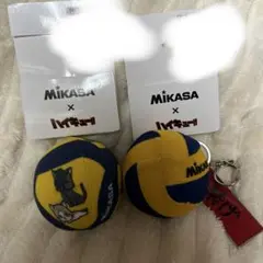 Mikasa ハイキュー!! コラボ　チャームセット