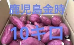 鹿児島金時
