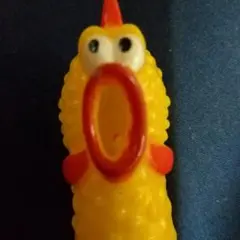 鳥