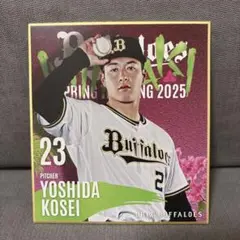 オリックス・バファローズ シークレットミニ色紙 吉田輝星選23番