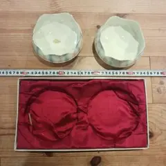 Item thumbnail for item 511009a9-c4e3-4fa6-8a6f-f98081a89252