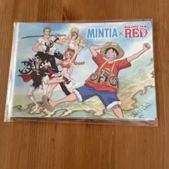 ミンティア用　コレクションファイル　ワンピース　ONE PIECE