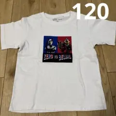 Item thumbnail for item 7d84adb4-1ce6-4eea-8ba1-4bdc91afbe22