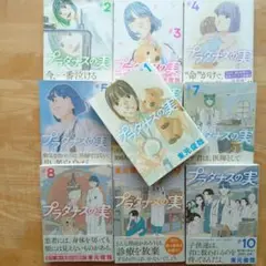 プラタナスの実 1巻~10巻　全巻セット