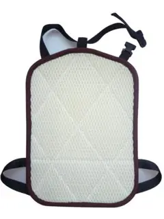 Item thumbnail for item 1f1049db-2ff3-4006-b81b-f7b1ccd99631