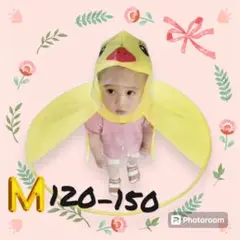 Item thumbnail for item 01ad4f1a-720d-4178-a367-25ba3a083efa