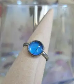 お正月セール!【モルフォのシルバーリング 8mm】