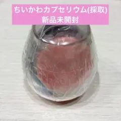 ちいかわ カプセリウム 採取 きのこ カプセルトイ ガチャガチャ
