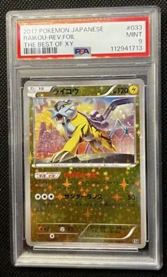 ライコウ THE BEST XY ミラー PSA9