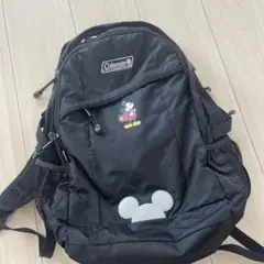 【コラボ品】コールマン×ディズニーコラボ リュック A4収納可 ミニー刺繍 Coleman】 コールマン✕ディズニーストアコラボ ドナルド 2way