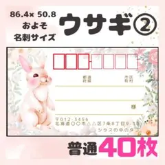 【ウサギ②】宛名シール　差出人シール　普通サイズ　40枚　　動物　ウサギ