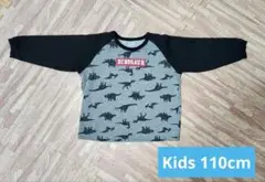 Item thumbnail for item 587fb91f-e651-4b01-94de-b0cafa08b4ec