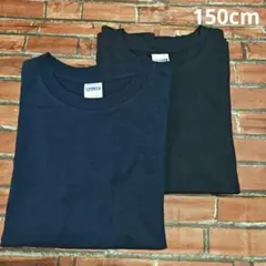 キッズ　綿100%　Tシャツ 150cm　ネイビー　2枚セット
