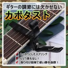 Item thumbnail for item 53cd5648-0227-4b00-955d-36c52d74c90a