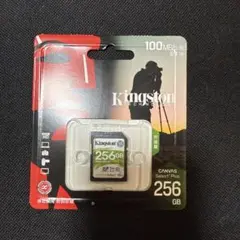 Kingston Canvas Select Plus 256GB