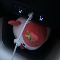 専用