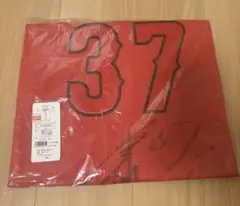 Item thumbnail for item 6c84897e-6a0f-48b7-a47f-e9add44eeb31