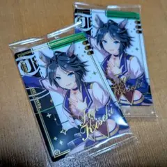 ウマ娘 フジキセキ ツインウエハース Special R2025