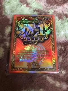 スリーブ　デュエル・マスターズ　G-1グランプリ G1グランプリ 全国大会2012 40枚 スリーブ デュエルマスターズ
