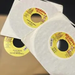 ✳︎レア盤✳︎Reggae Vibes ３枚セット
