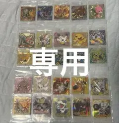 専用