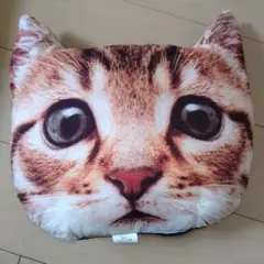 Item thumbnail for item 9caa876c-d6e9-4ffc-b780-54146e7256e4