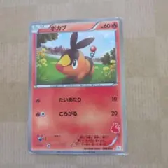 ポケモンカード ポカブ